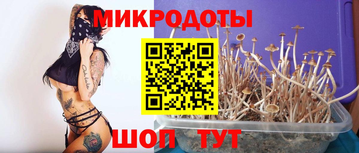Майский  как найти закладки  Галлюциногенные грибы Psilocybine cubensis  Вход с VPN  Галлюциногенные грибы ЛСД 